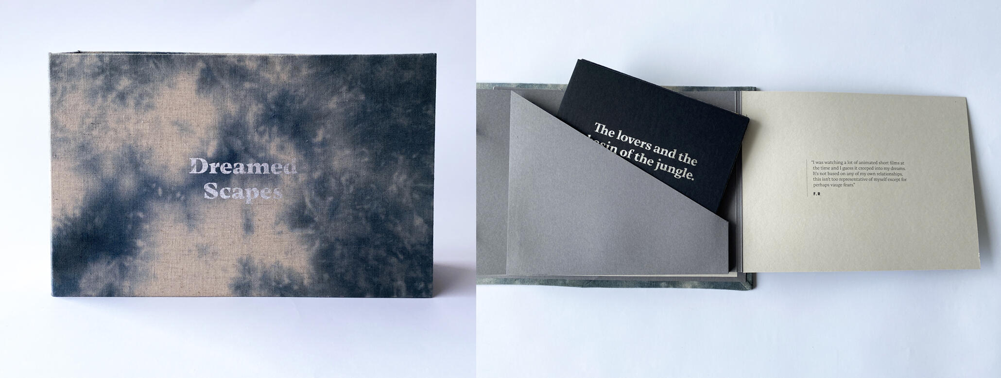 "Dreamed Scapes." A dream visualisation and analysis log. (2024).